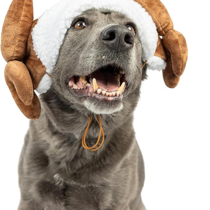 Huxley & Kent Pet Hat | Turkey Tester (Medium) | Fun Thanksgiving Holiday Hat for Dogs/Cats | Cute, Comfortable and Fun | SnugFit Strings for Best Fit