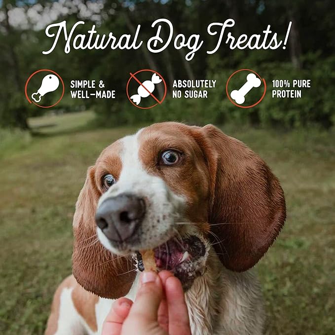 Beg & Barker Pork Jerky for Dogs (10 Ounce, Pack of 2) - Dog Training Treats - Natural Dog Treats Made in The USA - Grain Free, Diabetic-Friendly, High Protein, Sugar-Free