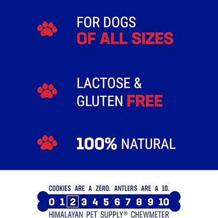 Himalayan Dog Chew Happy Teeth Yak Cheese, Soft Dog Chews, 100% Natural Soft Density Dental Treats, Gluten Free, Safe Treats for Oral Health, Lactose & Grain Free, Protein Rich, Bacon, 2 Count