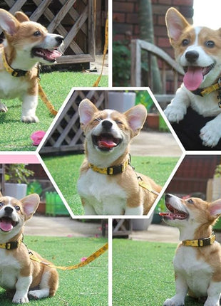 Roses&Poetry Dog Collar with Colourful Bee Patterns, Adjustable Durable Puppy Collars for Small Medium Large Dogs (Bee-L)