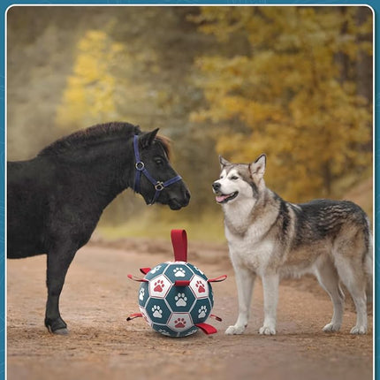 QDAN Dog Toys Soccer Ball with Straps, Durable Giant Dog Balls, Outdoor Dogs Toys, Herding Ball, Birthday Gifts (10 Inch)