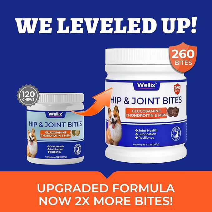 260 Bites Wellix Dog Hip and Joint Supplement Arthritis Pain Relief with Glucosamine Chondroitin MSM Functional Ingredients Joint Care Chews for Senior Dogs Antioxidant Supplements