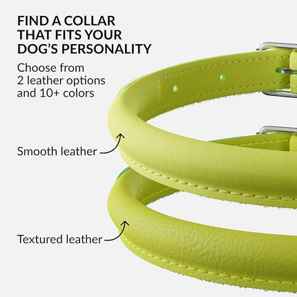 CollarDirect Rolled Leather Dog Collar, Soft Padded Round Puppy Collar, Handmade Genuine Leather Collar Dog Small Large Cat Collars 13 Colors (11-14 Inch, Lime Green Smooth)