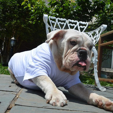 Lovelonglong Bulldog Clothes Dog Clothing Blank T-Shirt Tee Shirts for French Bulldog English Bulldog American Pit Bull Pugs 100% Cotton Skin Care White B-XL