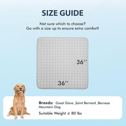 MICROCOSMOS Summer Cooling Mat & Sleeping Pad- Water Absorption Top, Materials Safe, Easy Carry, EZ Clean. Keep Cooling for Pets, Kids and Adults.(Grey, 36" x36")