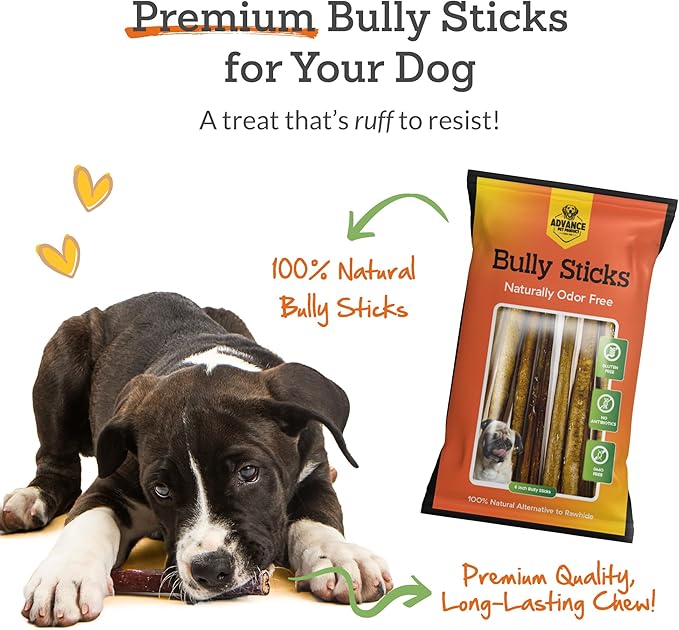 6 Inch Bully Sticks (Pack of 10) - 100% Beef, Odor Free Dog Chews for Aggressive Chewers - Long Lasting, Gluten-Free, Easy to Digest, High Protein & Rawhide Free Chews for Dogs