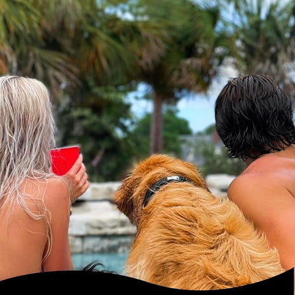 Black Rhino Dog Collar for Medium Dogs - 14-18 Inches Adjustable Reflective Dog Collar with Metal Buckle and Ultra-Soft Neoprene Padding - Heavy Duty Waterproof Collar for Active Pets - Black