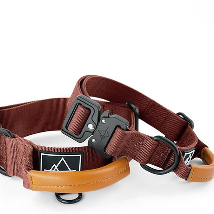 Made to ROAM Premium Explorer Control Collar - Adjustable Heavy Duty Nylon Dog Collar with Quick-Release Metal Buckle and Handle (Arizona Heartbeat, Control Size 4)