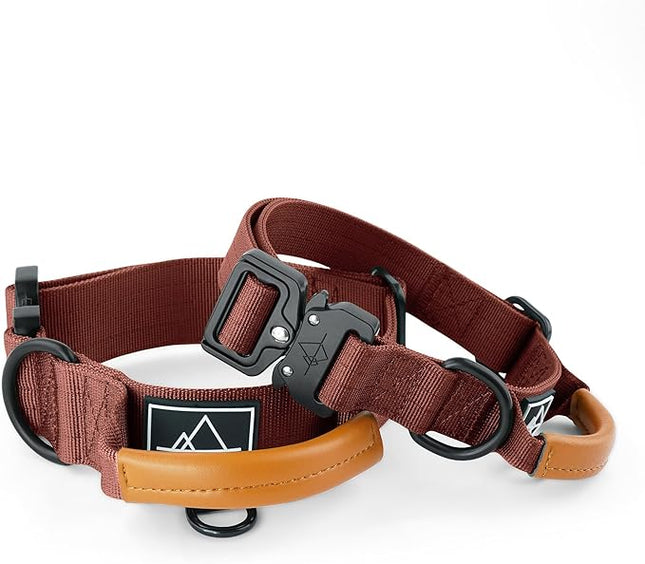 Made to ROAM Premium Explorer Control Collar - Adjustable Heavy Duty Nylon Dog Collar with Quick-Release Metal Buckle and Handle (Arizona Heartbeat, Control Size 4)