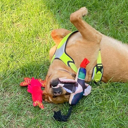 Spunky Pup Fly & Fetch Plush Dog Toy - Duck