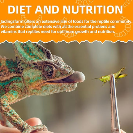 6 Pack Canned Small Grasshoppers for Reptiles, Fish, Birds and Small Animals, Grasshoppers, Healthy High Protein Treat, Bearded Dragon Food 1.2 Ounces Each