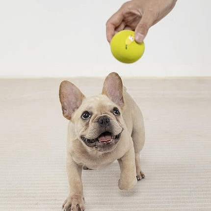 Squeaky Dog Ball, Latex Cute Dog Toys for Puppy and Small Dogs Soft Rubber Fetch Play Catch Ball Bounce and Funny Squeak Pet Toys