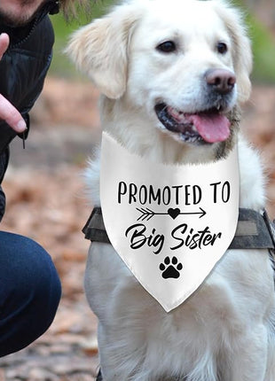 Big Sister Dog Bandana - Pregnancy Announcement Pet Scarf for Dog Lover Pregnancy Reveal Ideas