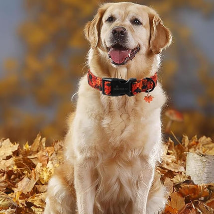 ARING PET Puppy Fall Dog Collar, Autumn Orange Maple Leaf Pet Collars for Small Medium Large Girl Boy Dogs Thanksgiving Halloween-S Size