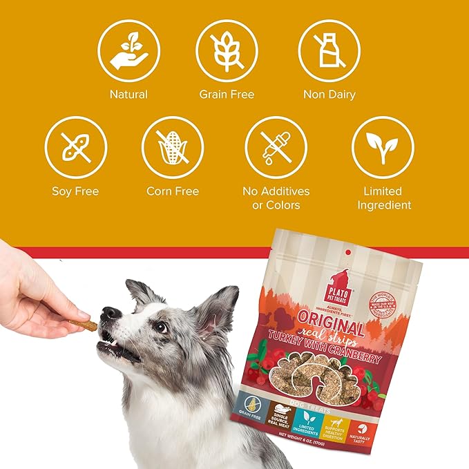 PLATO Turkey Real Strips Natural Dog Treats - Real Meat - Air Dried - Made in the USA - Turkey & Cranberry, 18 ounces