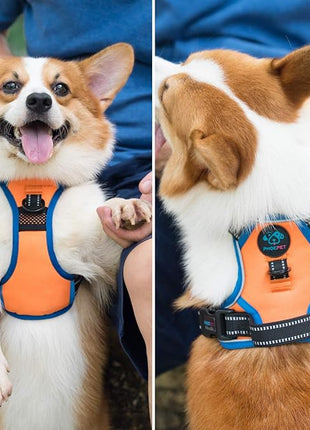 PHOEPET 2019 No Pull Dog Harness Medium Reflective Front Clip Vest with Handle,Adjustable 2 Metal Rings 3 Buckles,[Easy to Put on & Take Off](M, Orange)
