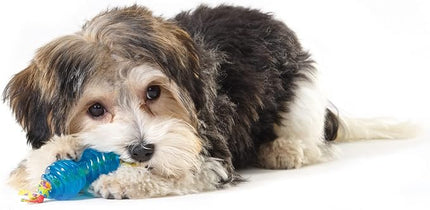 Petstages Mini Orka Chew Pair Bone & Dumbbell Dog Toys - 2 Pack