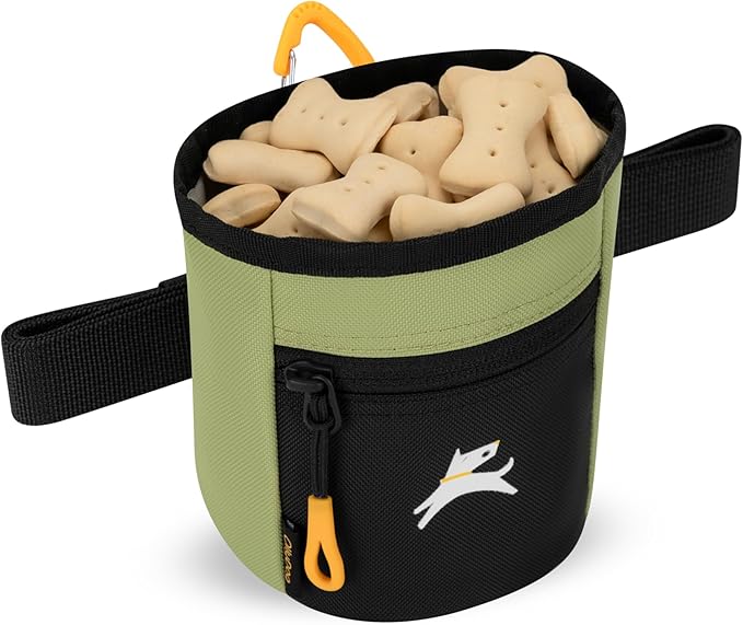 OllyDog Goodie Treat Bag, Dog Treat Pouch, Waist Belt Clip for Hands-Free Training, Magnetic Closure, Dog Training and Behavior Aids, Three Ways to Wear (Palm)