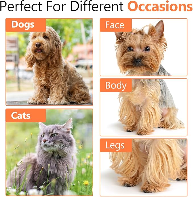 Professional Rounded Dog Scissors - Sharp Stainless Steel Blades with Colorful Handles, Safe and Easy-to-Use Pet Scissors for Long Lasting Grooming at Home