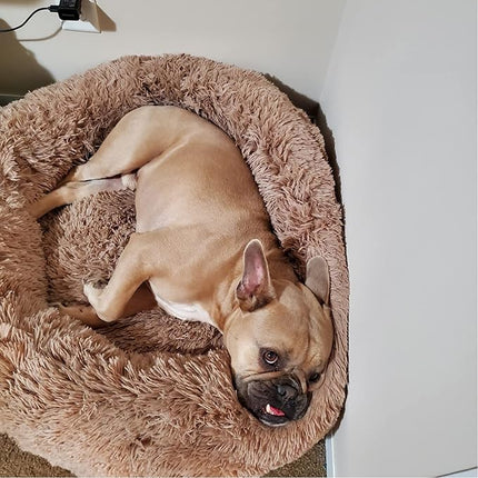 Dog Beds for Medium Dogs Washable Donut French Bulldog Ded Calming Cat Bed for 2 Cats 30 Inches Fluffy Cozy Puppy Bed Washable Anti Anxiety Brown