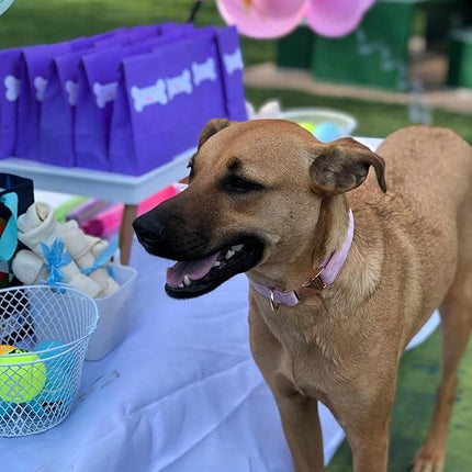 ARING PET Velvet Dog Collars with Bow tie, Bowtie Dog Collar, Cute Pink Collar for Girl and Boy Dogs,X-Small.