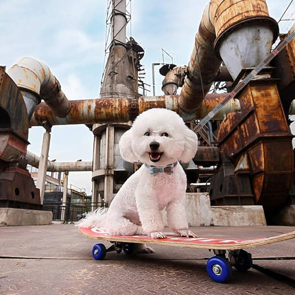 EXPAWLORER Dog Collar and Leash Set - Classic Plaid Dog Bow Tie and Dog Bandana Collar with Bell, Dog Leash Tangle Free, Adjustable Collars for Small Medium Large Dogs Cats, Holiday Ideal Gift