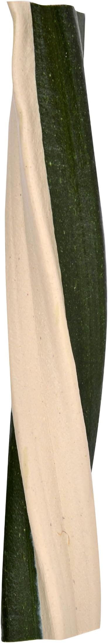 Dingo Dental Sticks for Tarter Control and Freshening Breath, Made with Real Chicken, Great Treats for Small, Medium, and, Large Dogs 15-Count