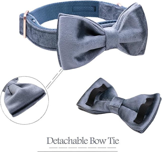 ARING PET Bowtie Dog Collar,Velvet Dog Collars with Detachable Bowtie, Cute &Comfortable Dog Collar, Blue Medium.