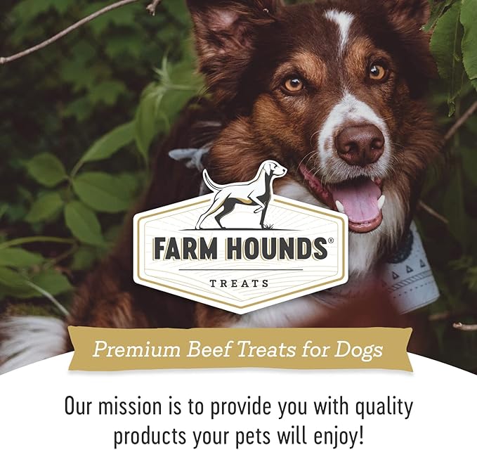 Farm Hounds Beef Heart Jerky Treats for Dogs, Premium Dried Treats, High Protein Training Treat for Small & Large Dogs, Natural & Healthy Dog Treats, Made in USA, Beef Hearts 4oz