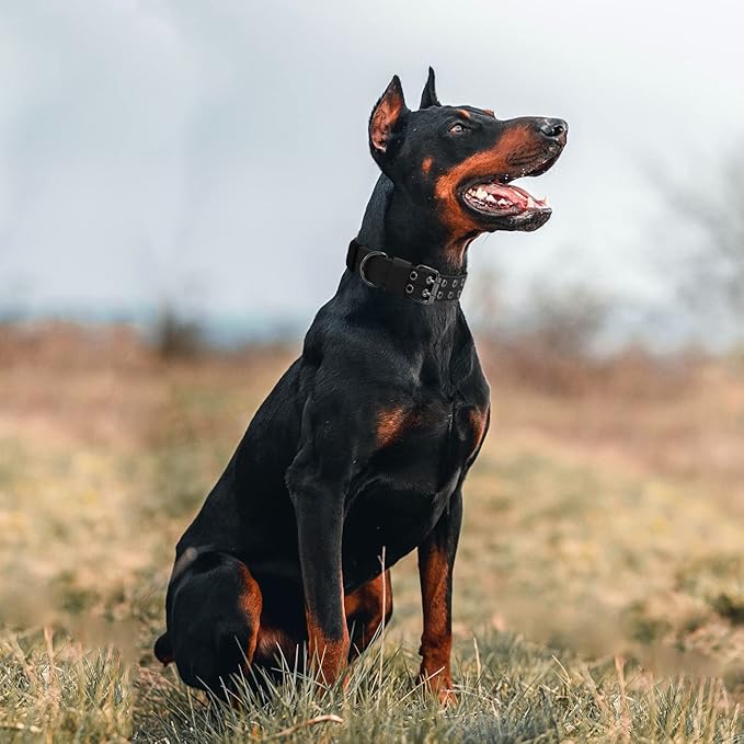 Tactical Dog Collar Military Adjustable Dog Collars Soft Nylon Training Collar with Patch Heavy Duty Metal Buckle Collars for Medium Large Dogs (Black, L)