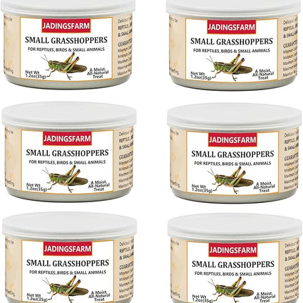 6 Pack Canned Small Grasshoppers for Reptiles, Fish, Birds and Small Animals, Grasshoppers, Healthy High Protein Treat, Bearded Dragon Food 1.2 Ounces Each