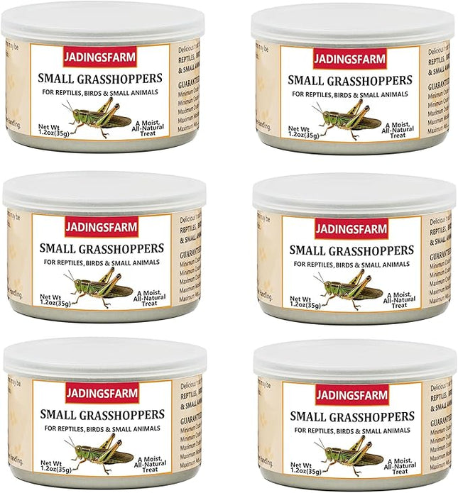 6 Pack Canned Small Grasshoppers for Reptiles, Fish, Birds and Small Animals, Grasshoppers, Healthy High Protein Treat, Bearded Dragon Food 1.2 Ounces Each