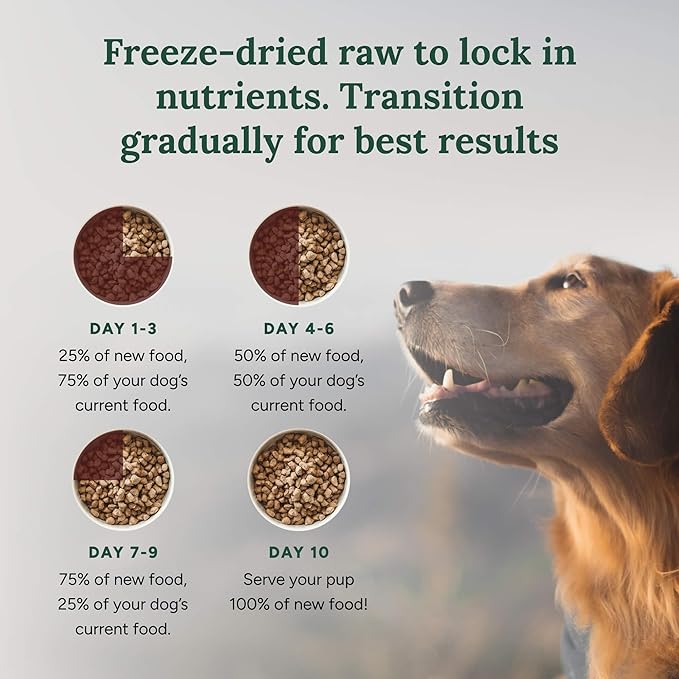 360 Pet Nutrition Freeze-Dried Raw Dog Food – Beef Recipe with Liver & Organs, High Protein with Omega-3s, Fruits, Veggies & Superfoods, Grain-Free, No Fillers, 1 lb – Made in USA