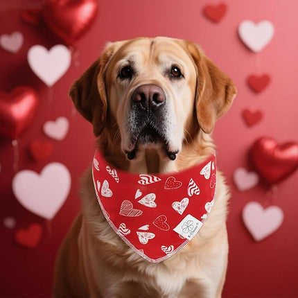 E-Clover Valentines Red Heart Dog Bandanas & Matching Scrunchie Set Cute Girl Dog Scarf Bibs Pet Bandana with Bow Tie for Small Dogs Puppy Owner Mom