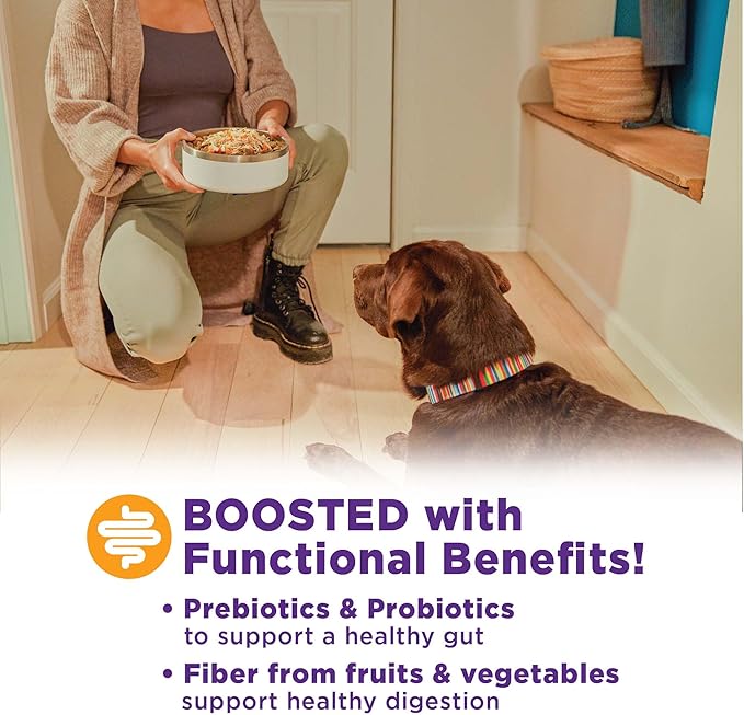 Wellness Bowl Boosters, Dog Food Topper for Small, Medium, & Large Breeds, Grain Free, Natural, Freeze Dried, Digestive Health Chicken, 4 Ounce Bag (Pack of 1)