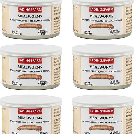 6 Pack Canned Mealworms for Reptiles, Fish, Birds and Small Animals, Meal Worms, Healthy High Protein Treat, Reptile Bird Fish Food 7.2 Ounces Total