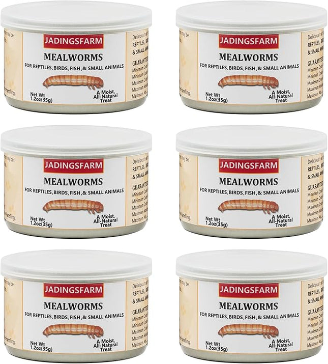 6 Pack Canned Mealworms for Reptiles, Fish, Birds and Small Animals, Meal Worms, Healthy High Protein Treat, Reptile Bird Fish Food 7.2 Ounces Total