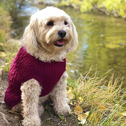 Blueberry Pet Classic Fuzzy Textured Knit Pullover Crew-Neck Dog Sweater in Burgundy Red, Back Length 22", Pack of 1 Clothes for Dogs