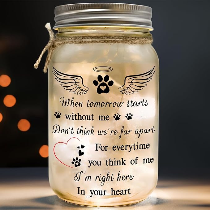 2IMT Dog Memorial Gifts, Pet Loss Sympathy Gift, Dog Sympathy Gifts for Loss of Dogs, Pet Memorial Gift for Dogs, Remembrance Bereavement Grieving Memorial Condolence for Cat, Jar Light Loss of Pets