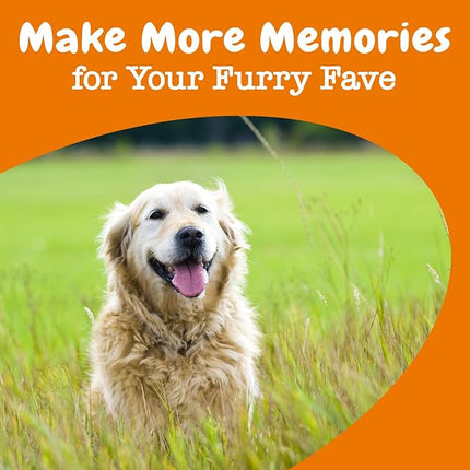 Zesty Paws Advanced Cognition Soft Chews for Dogs - with Omega 3 DHA, Ashwagandha & Alpha GPC - for Senior Dog Brain Health & Nervous System Support - Supplement for Calming & Relaxation - 90 Count