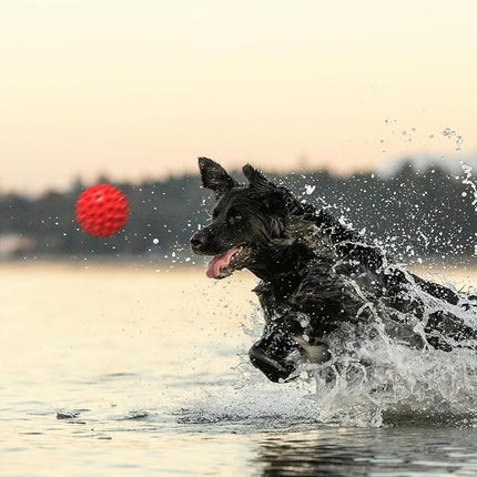 Apasiri Beef-Flavored Durable Dog Ball for Aggressive Chewers, Tough Squeaky Rubber Toy for Pitbulls Large & Medium Breeds