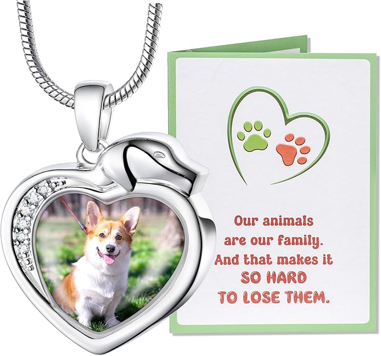 Farfume Personalized Pet Urn Necklace for Dog Cat Ashes Cremation Pet Memorial Customized Photo Text Engraving Pendant Keepsake Funeral Jewelry