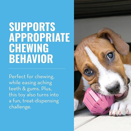 KONG Puppy Activity Ball - Soft & Durable Natural Puppy Rubber Dog Toy - Chew Toy for Teething Puppies - Eases Aching Teeth & Gums - for Small Puppies - Randomly Provided Color