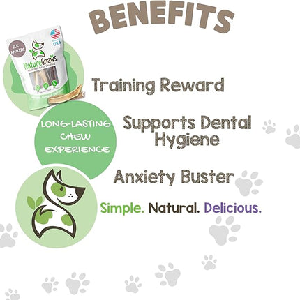 Nature Gnaws USA Elk Antlers for Dogs 5-8" (1 Count) - Long Lasting for Aggressive Chewers and Large Breeds - Natural Dog Chew Bones