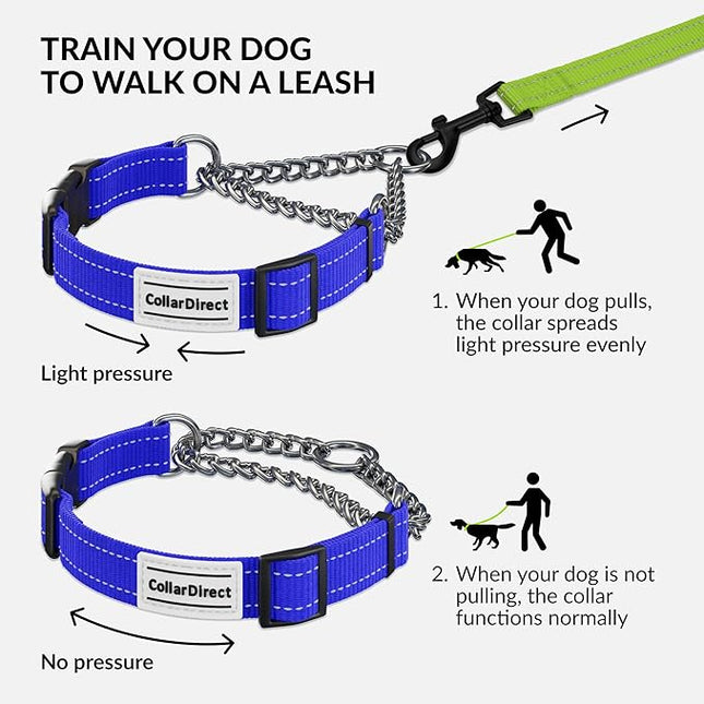 CollarDirect Martingale Dog Collar with Stainless Steel Chain and Quick Release Buckle - Reflective Collar for Large, Medium, Small Dogs - Blue, Small (Neck Size 12"-15")