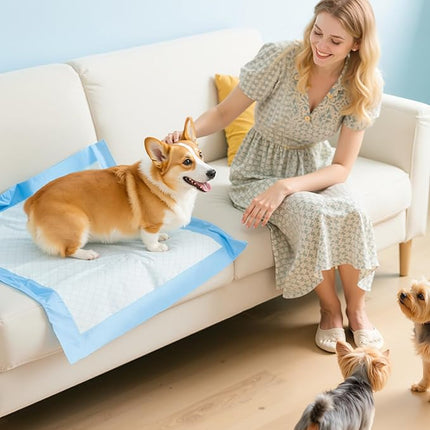 150-Pack Large Puppy Pads - 22'' x 22'' Pee Pads for Dogs Potty Training with Leak-Proof Quick-Dry Design, 6-Layer Dog Pads Large, Blue