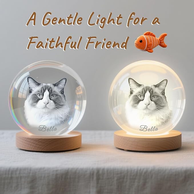 Personalized 3D Pet Memorial Gift for Dog or Cat - Custom Photo in Crystal with Optional Light Base, Unique Loss Keepsake (S/M/L)