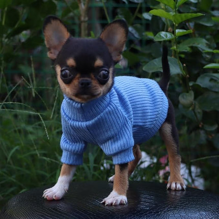 LOPHIPETS Small Dog Turtleneck Sweaters for Teacup Chihuahua Yorkie Puppy Cat Clothes-Light Blue/XS