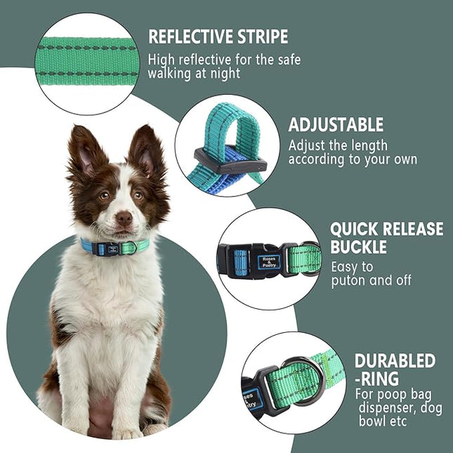 Roses&Poetry Bluegreen Medium Dog Collar and Leash Set, Puppy Reflective Leashes with Collars, Adjustable Durable Matching Collar Leash for Medium Dogs Girl (Bluegreen-M)