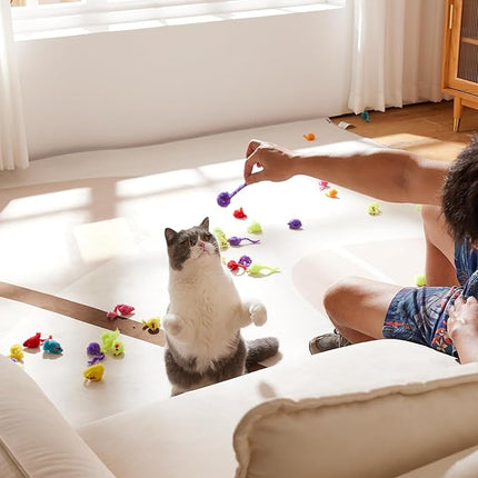 Yangbaga Mice Rattle 14 Pack, Cat Toys Rainbow Mice for Cats and Kittens (62pcs Rainbow mices)